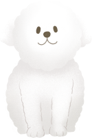 get_jv11995974_200512_st_sh_02