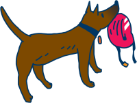 get_jv12008640_200612_st_sh_03