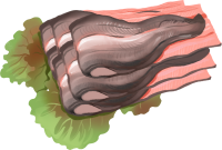 get_jv11172143_200623_st_in_40