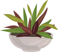 ペットの植物の世話をする