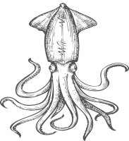 get_518328854_200819_cjy_05