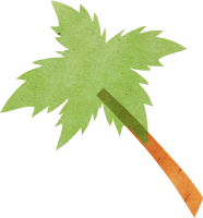 get_jv12062232_200814_st_in_55