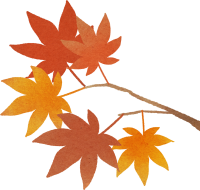 get_jv11866526_200824_st_in_50