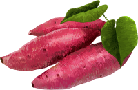 get_a10265764_200909_st_in_08