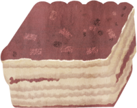 get_a10063847_200902_st_sh_35