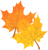 get_a12091409_200916_st_sh_13