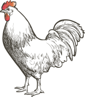 get_1127805938_200929_st_jy_01