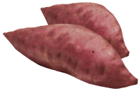 get_jv11326268_201202_mj_st_02