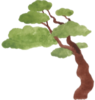 uto_21047049_210111_st_ha_01