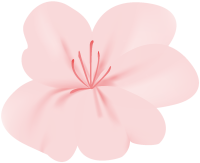 get_a11116057_210225_st_yhseo_02