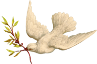 uni_210327_st_kwy_05