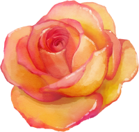 水彩画のような花