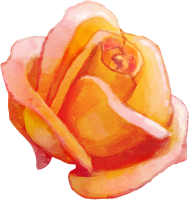 水彩画のような花