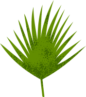 트로피컬한 자연 일러스트