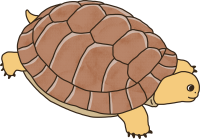 uni_210702_st_sr_022