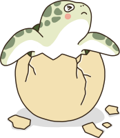 ウミガメとウミガメ