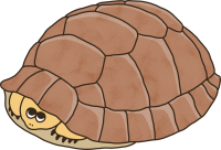 uni_210702_st_sr_033