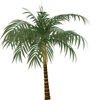 uto_20869207_210915_st_sh_32