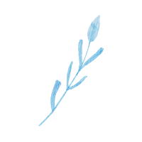 Field flowers. Watercolor illustrations. Wild plants. Pink. Blue. Yellow. Natural elements.