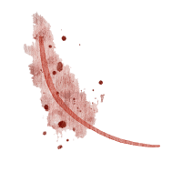 Field flowers. Watercolor illustrations. Wild plants. Pink. Blue. Yellow. Natural elements.