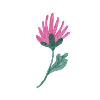 Field flowers. Watercolor illustrations. Wild plants. Pink. Blue. Yellow. Natural elements.