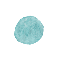 Field flowers. Watercolor illustrations. Wild plants. Pink. Blue. Yellow. Natural elements.