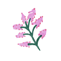 Field flowers. Watercolor illustrations. Wild plants. Pink. Blue. Yellow. Natural elements.