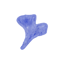 Field flowers. Watercolor illustrations. Wild plants. Pink. Blue. Yellow. Natural elements.