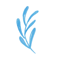 Field flowers. Watercolor illustrations. Wild plants. Pink. Blue. Yellow. Natural elements.