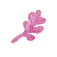 Field flowers. Watercolor illustrations. Wild plants. Pink. Blue. Yellow. Natural elements.