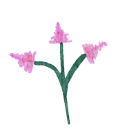 Field flowers. Watercolor illustrations. Wild plants. Pink. Blue. Yellow. Natural elements.