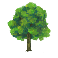 Tree isolated background. Green plant paint illustration.