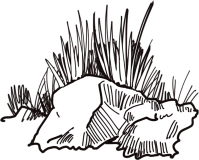 나무 나무스케치 나무실루엣 바위 돌 돌png 나무png 스케치자료