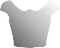 Ladies TShirt Clothing Outfit Mockup Illustration