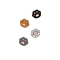 cat footprints or cat paws