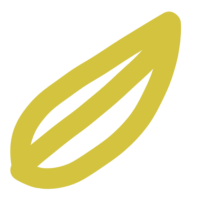 Leaf png