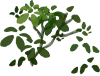 꽃 정원 나무 풀 자연 꽃밭 아름다운 예쁜 꽃축제 작은나무 숲 정글 풀숲 나무숲 작은정원 Nature garden 가든 vines 넝쿨 장미 flower 나무소스 나무효과 풀효과