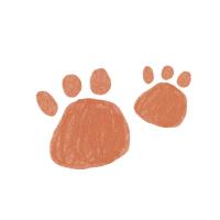 Bear footprint