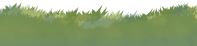 Grass