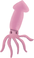 pink squid seafood