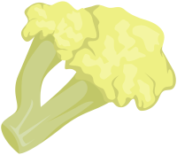 Broccoli pieces cartoon