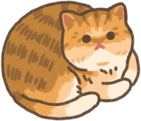 Golden British shorthair cat