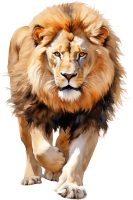 watercolor lion clipart