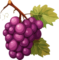 grape_161