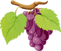 Grapes