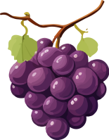 grape_174