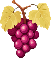 grape_163
