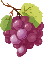 grape_176