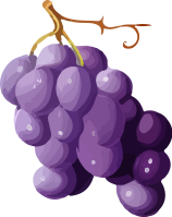 grape_173