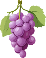 grape_167